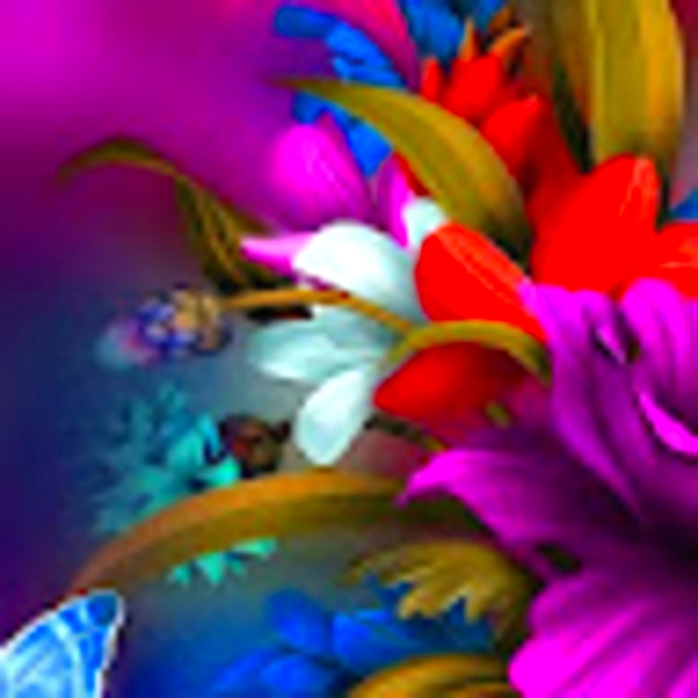 Meet your Posher, Alicia